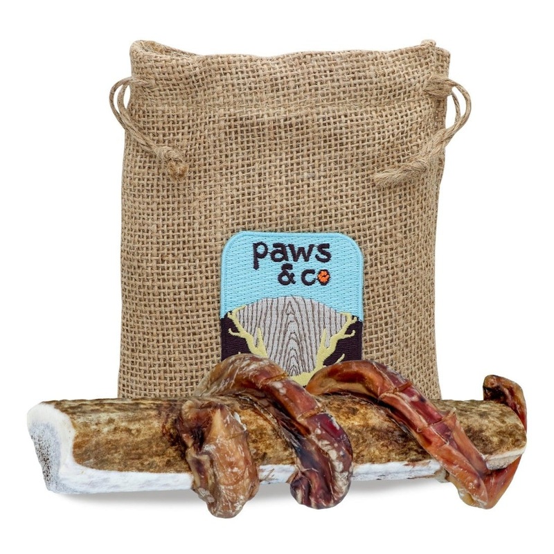 Paws & Co Bully Stick Wrapped Split Elk Antler Chews Large X-Large Dogs 7.25"