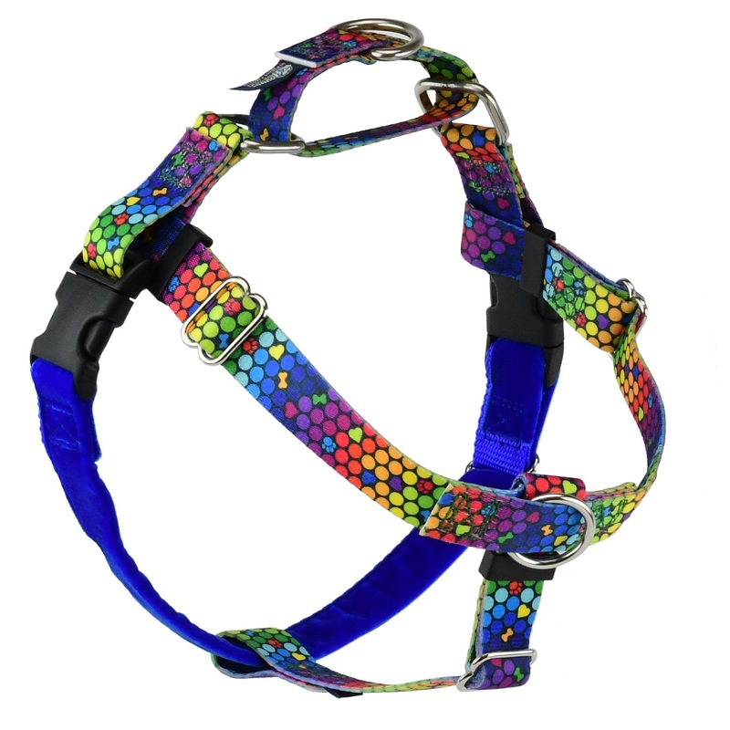2 Hounds Design Freedom No-Pull Dog Harness - Medium 1" x 28-28" - ROY G BIV