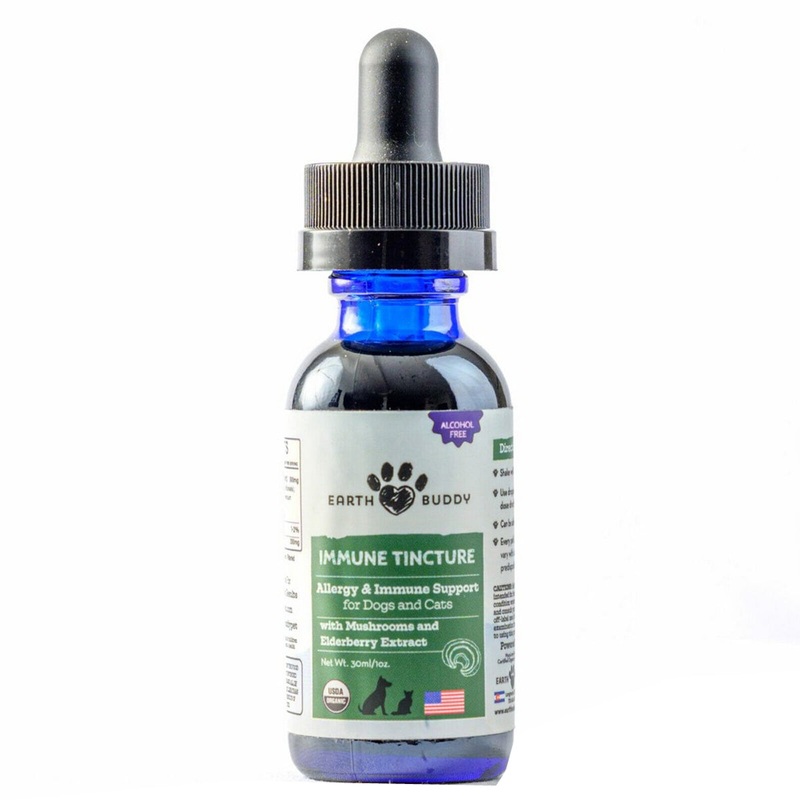 Earth Buddy Immune Tincture  Mushroom Elderberry Allergy & Immune Support 500mg