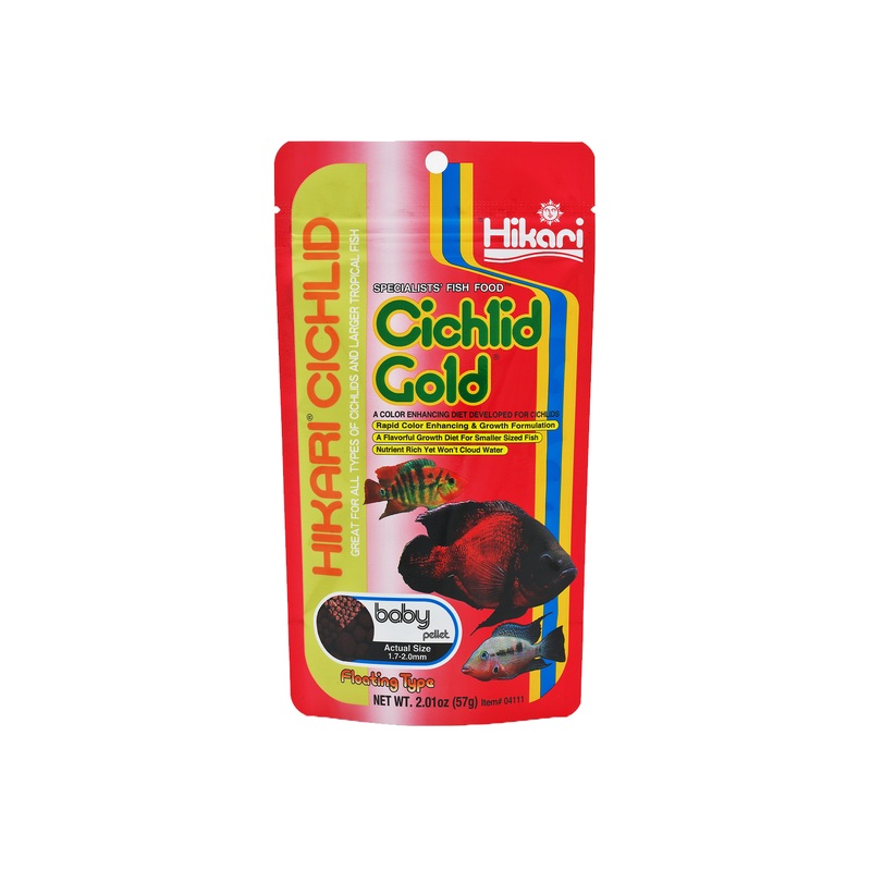Hikari Cichlid Gold Baby