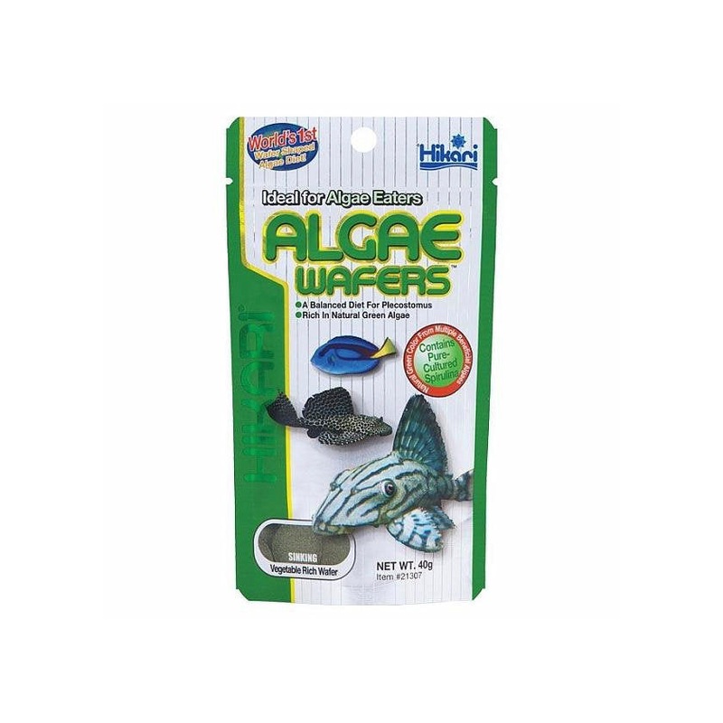 Hikari Algae Wafers