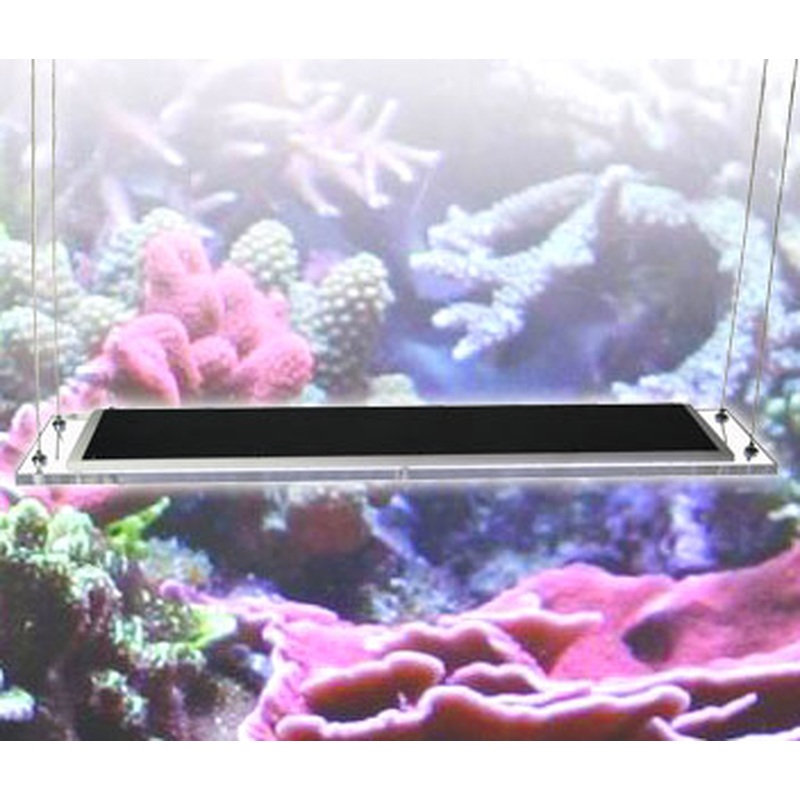 Zetlight 30w Aqua LED