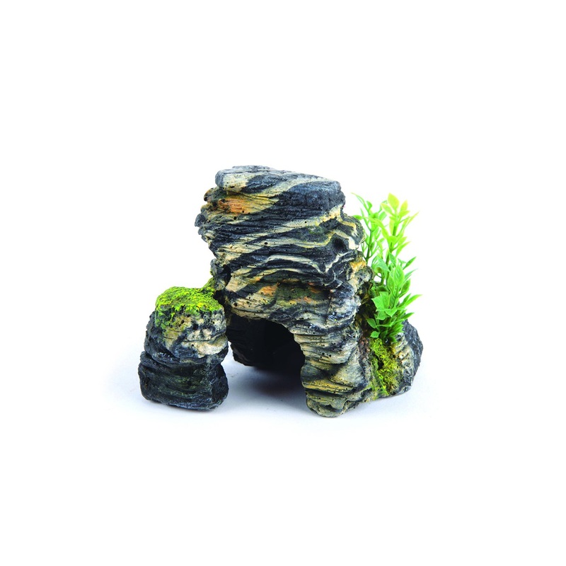 Kazoo Granite Rock With Plant