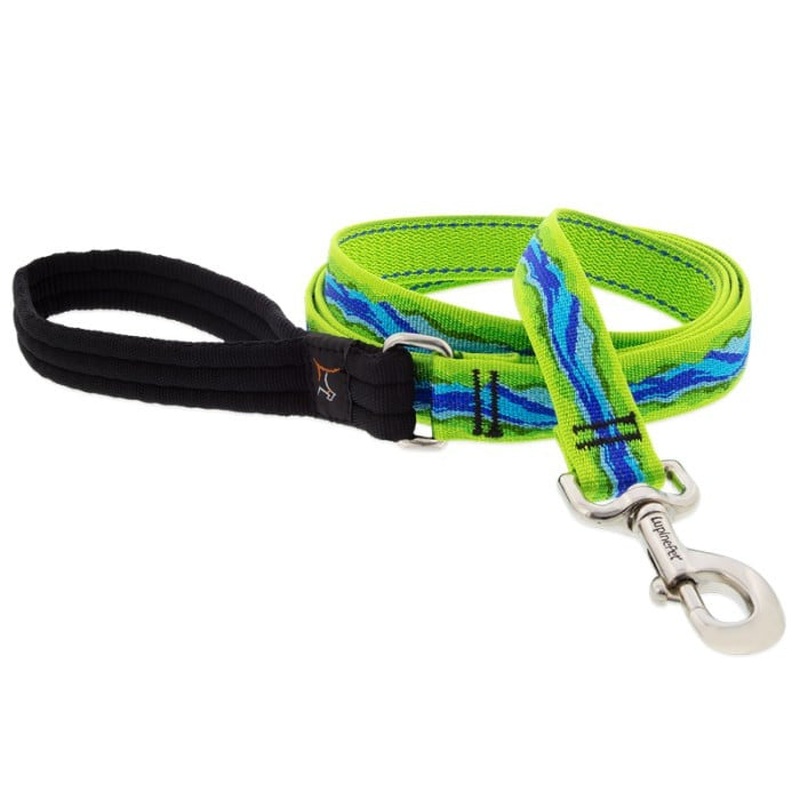 Lupine MicroBatch Limited Designs Dog Leash 1" x 4' Blue River