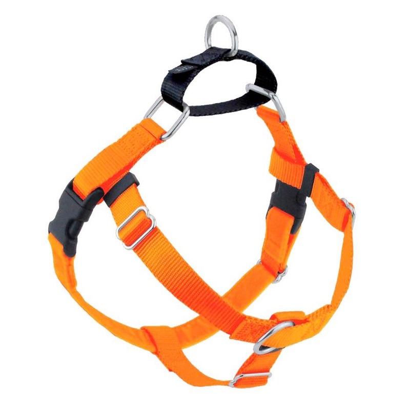 2 Hounds Design Freedom No-Pull Dog Harness - Small 5/8" x 20-24" - Neon Orange