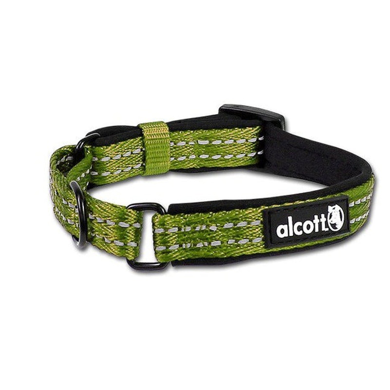 Alcott Martingale Dog Collar - Small  10-14" - Green