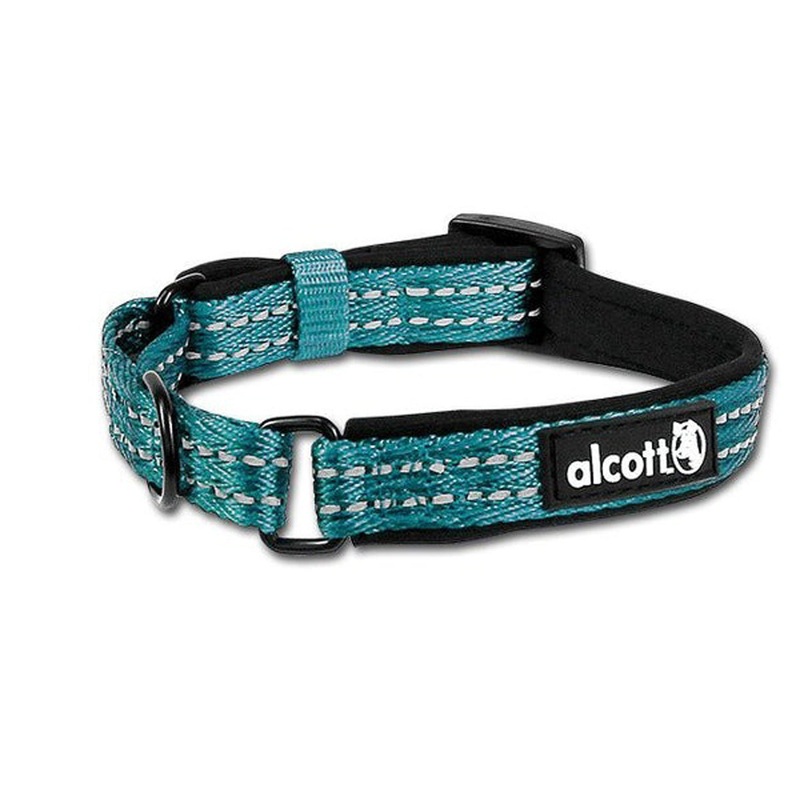 Alcott Martingale Dog Collar - Small 7-11" - Blue