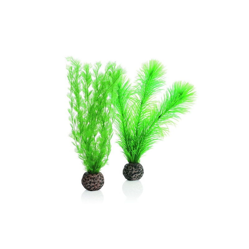 biOrb Feather Fern Set Green