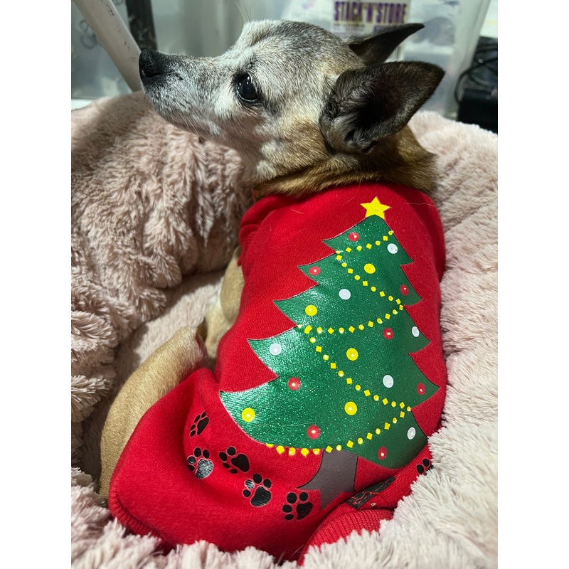 Flashing Christmas Coat