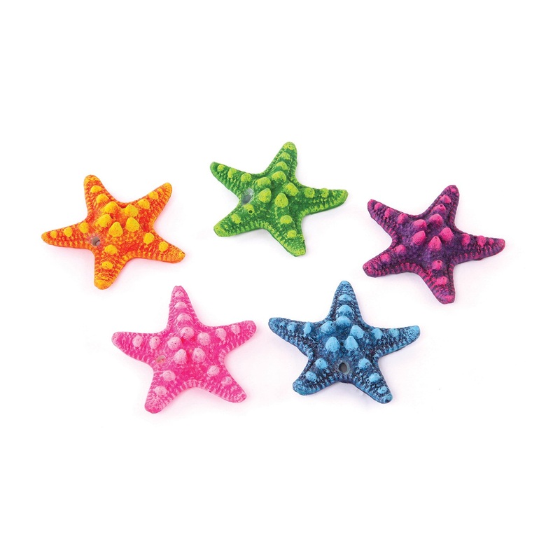Kazoo Starfish 5 Pieces Assorted