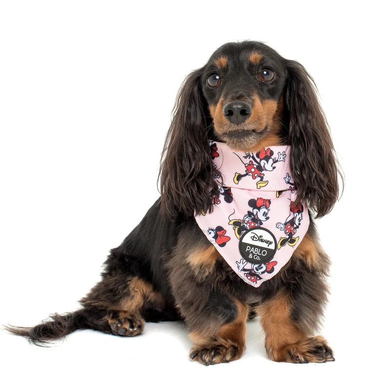 Pablo & Co Dog Bandana Minnie Mouse & Flowers