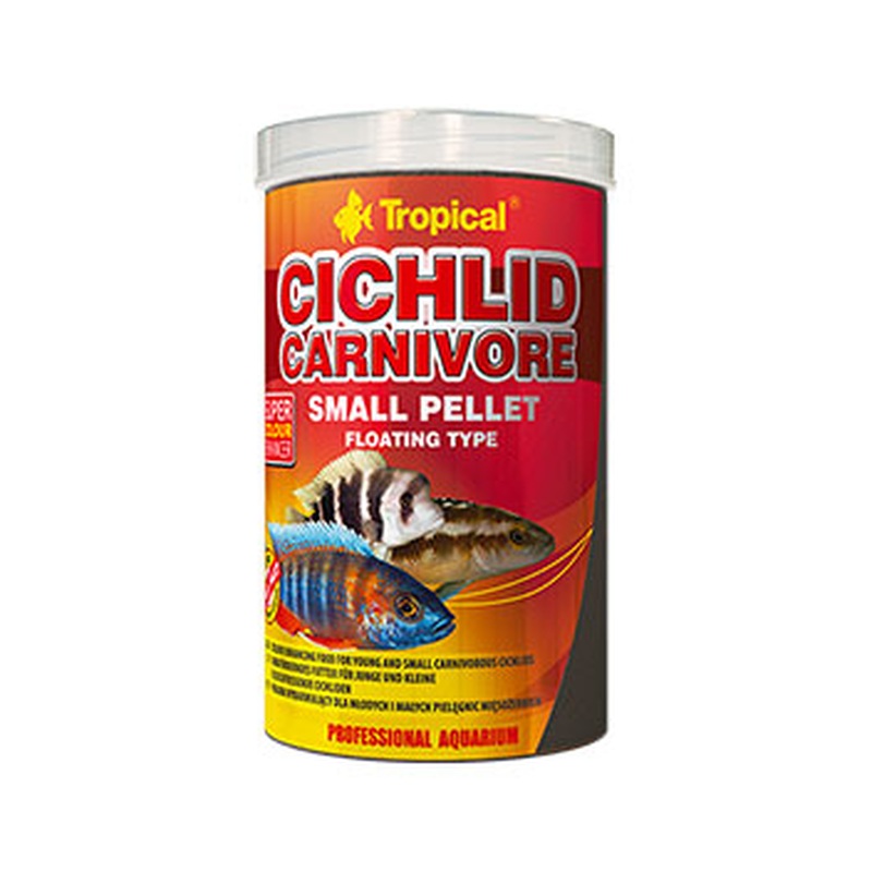 Tropical Cichlid Small Carnivore