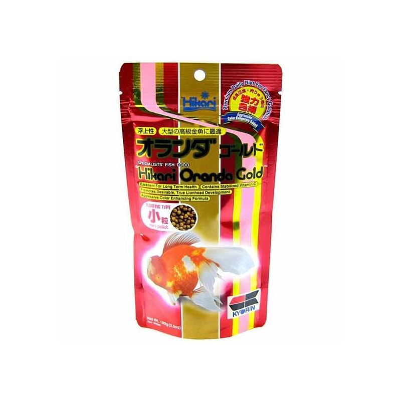 Hikari Oranda Gold Mini