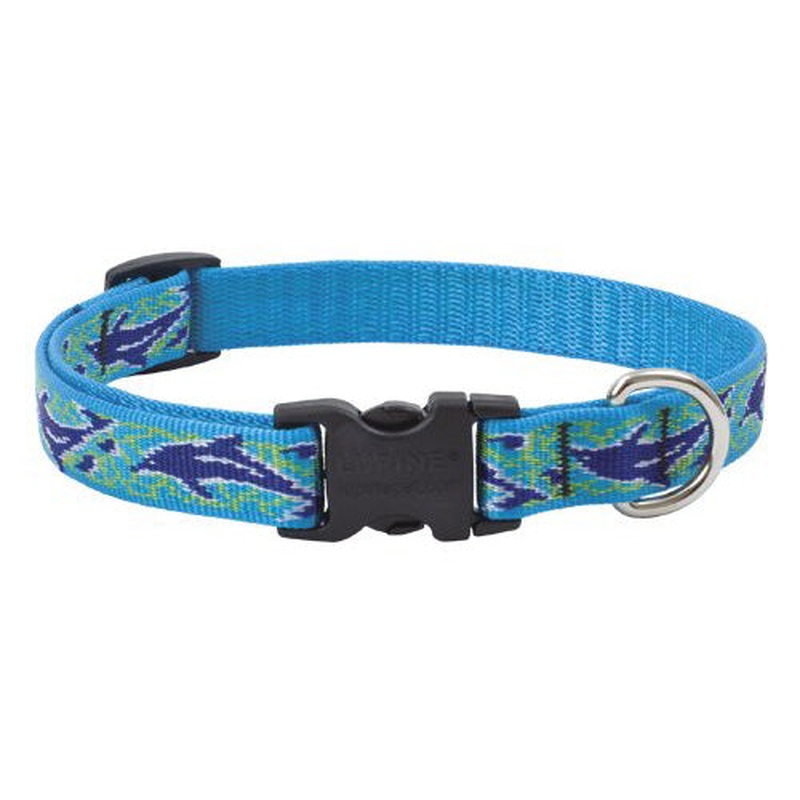 Lupine Adjustable Dog Collar 3/4" Wide x 9-14"Neck Size Dolphin Bay