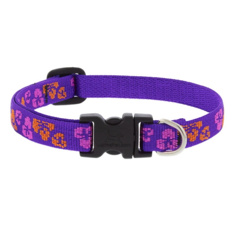 Lupine Adjustable Microbatch Dog Collar 1/2x10-16" Aloha