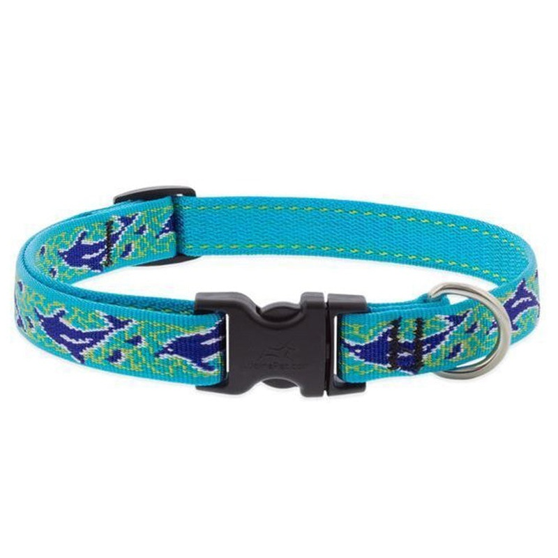 Lupine Collar 3/4" Wide x 15-25" Neck Size Dolphin Bay