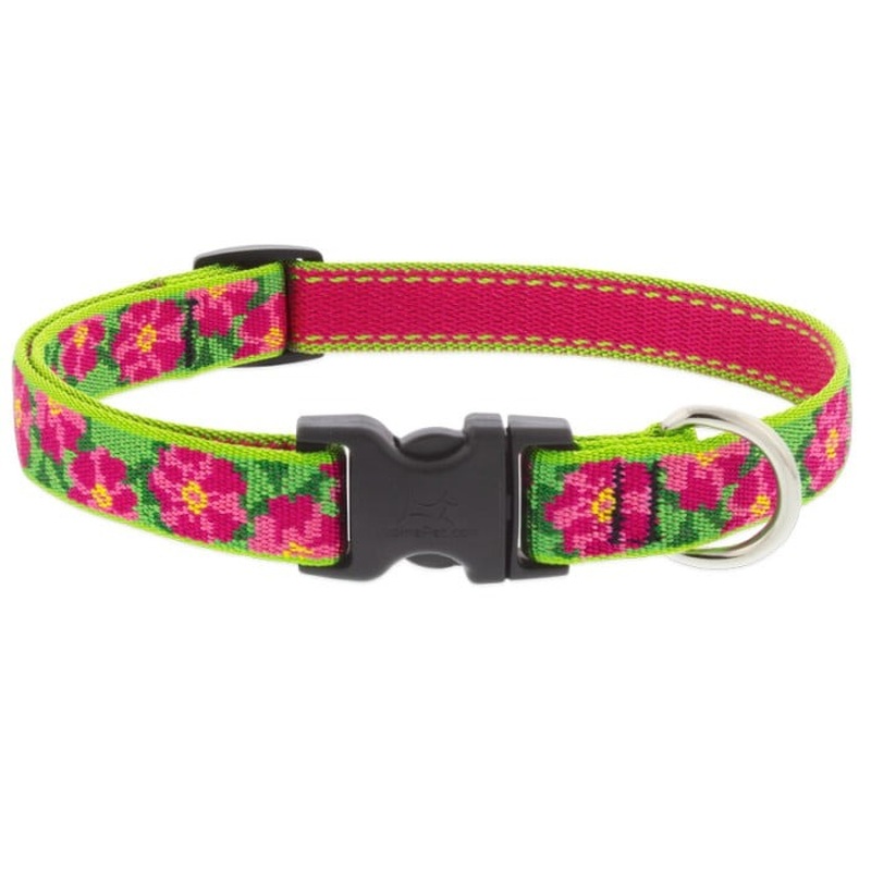 Lupine Dog Collar 3/4" Wide x 13-22" Neck Size Petunias