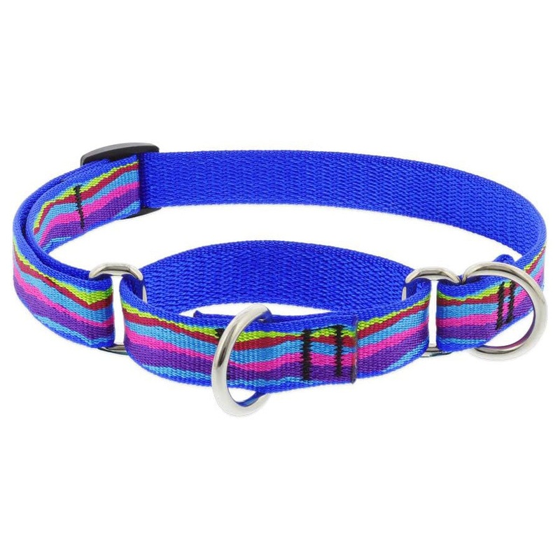Lupine Dog Collar Combo 3/4" Wide X 14-20" Neck Size Ripple Creek