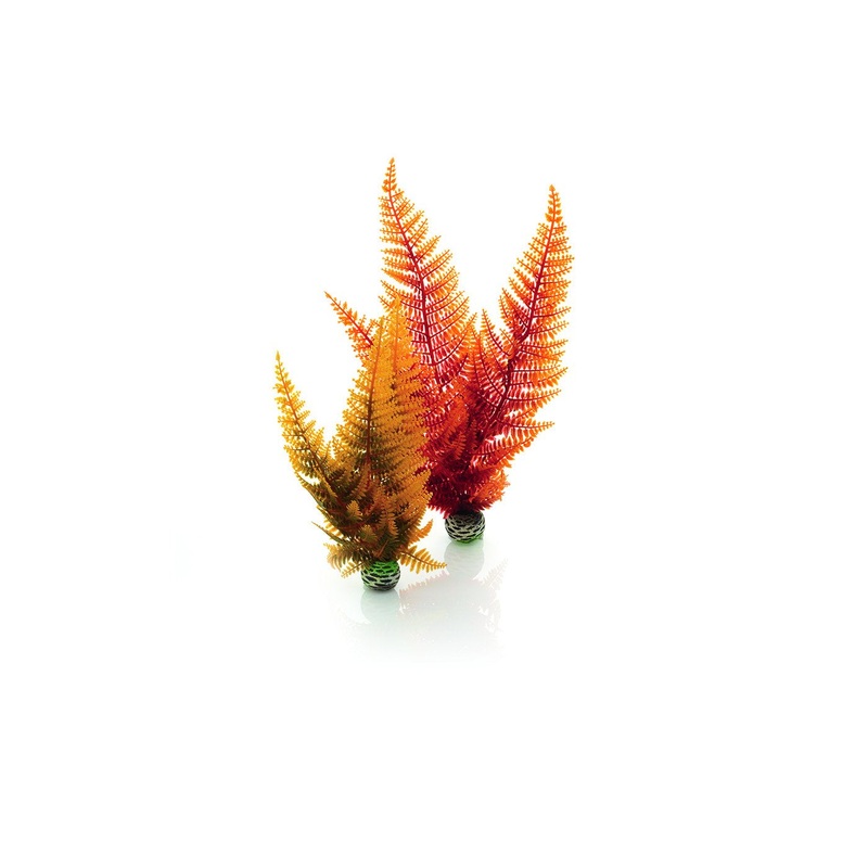 biOrb Autumn Fern (2 Set)