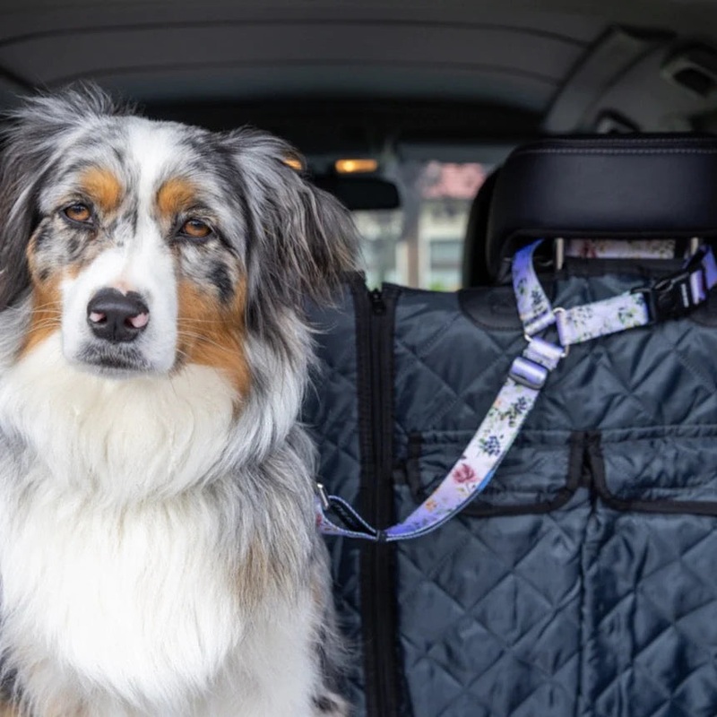 Stylish Hound Head Rest Restraint