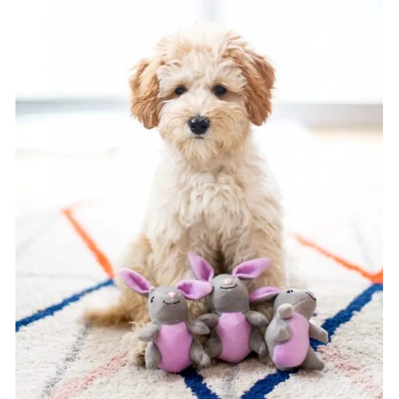 Zippy Burrow - Bunny 'n Carrot