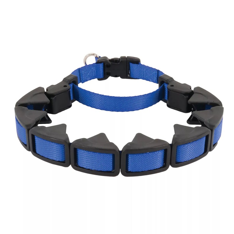 Coastal Natural Control Training Collar Large Blue 1" x 22"
