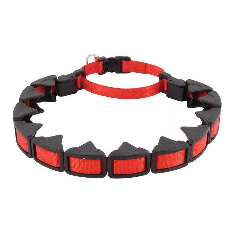 Coastal Natural Control Training Collar Small Red 1" x 16"