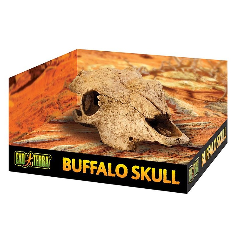 Exo Terra Buffalo Skull