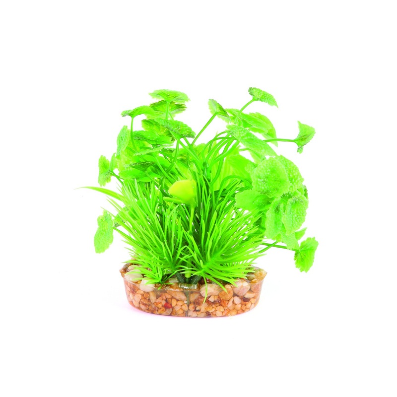 Kazoo Green With Assorted Leaf Combination Bush