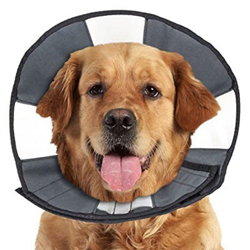 ZenPet ZenCone XL 18-23" Soft Recovery Collar