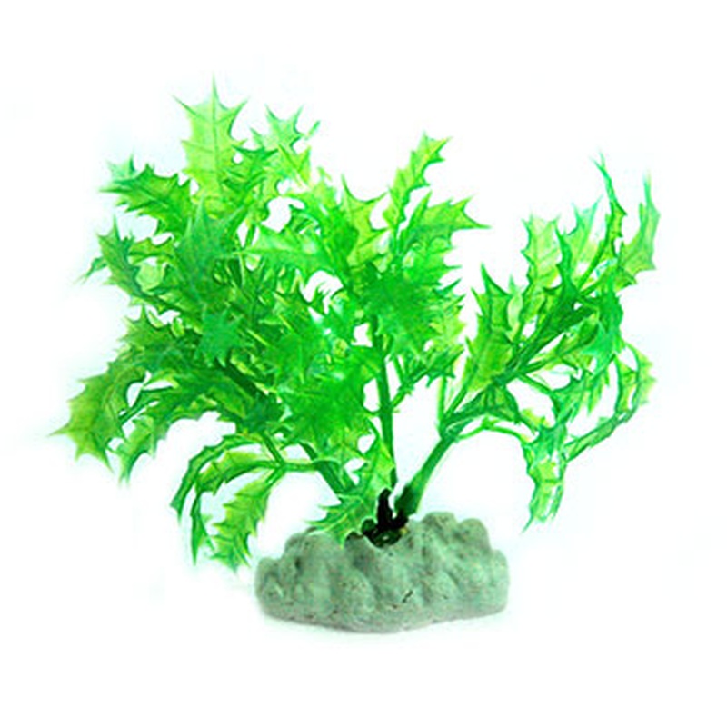 AquarWorld Green Holly