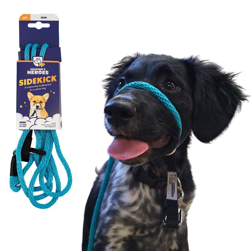 Heather's Heroes Sidekick Mini Turquoise Dog Leash 1/4" x 6'