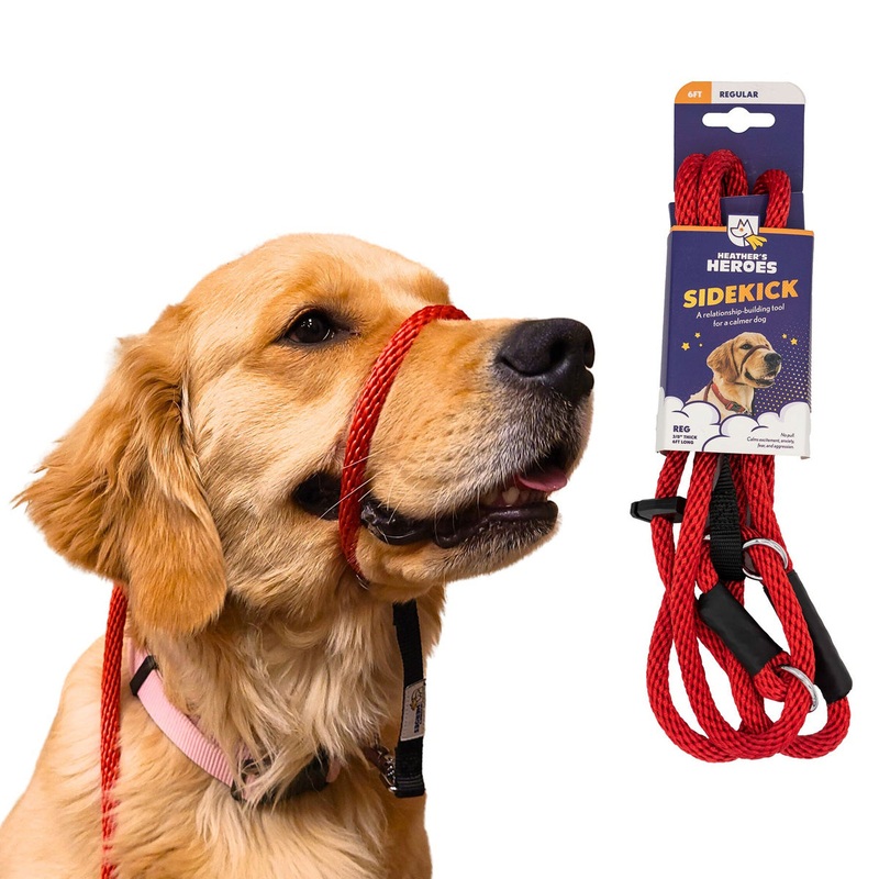 Heather's Heroes Sidekick Regular Red Dog Leash 3/8" x 6'