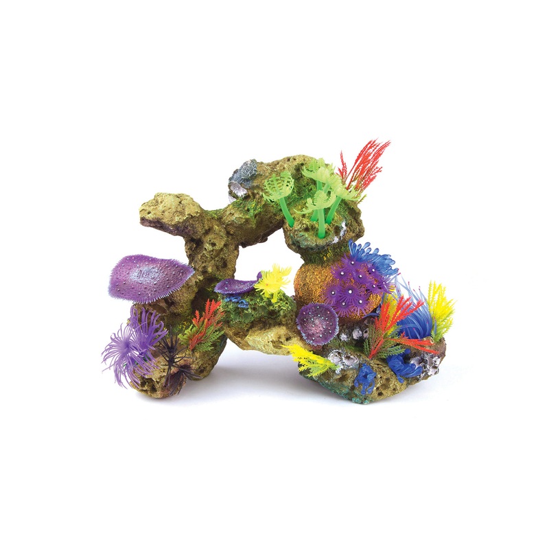 Kazoo Soft Coral With Rock and Plants