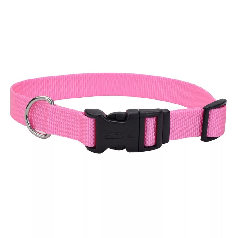 Coastal Adjustable Dog Collar with Plastic Buckle 3/8" x 8" - 12" Pink Bright