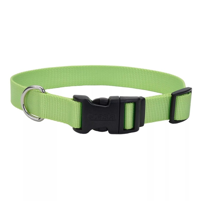 Coastal Adjustable Dog Collar with Plastic Buckle 5/8" x 10" - 14" Lime