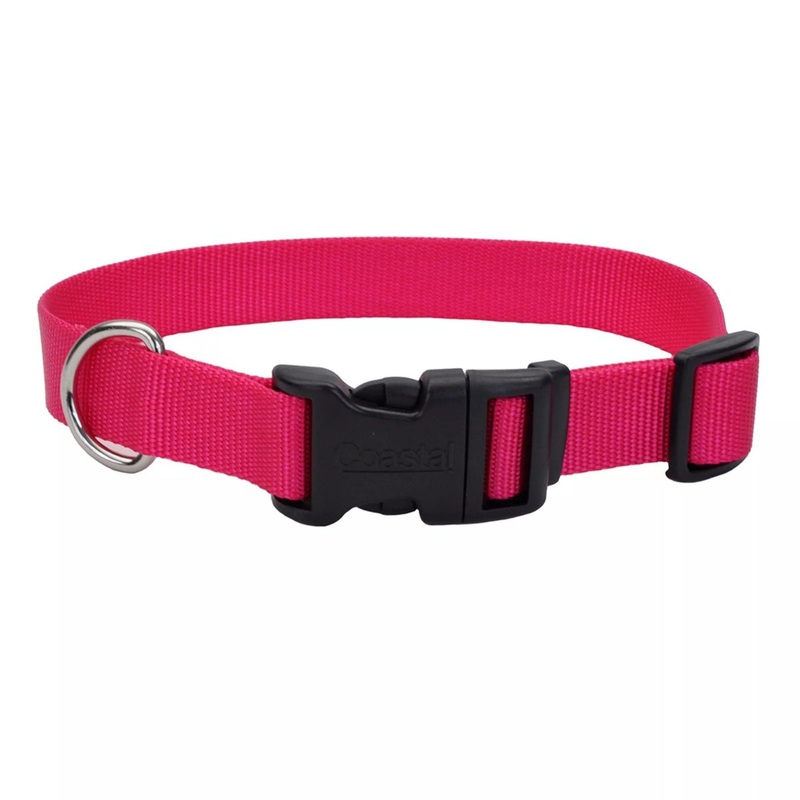 Coastal Adjustable Dog Collar with Plastic Buckle 5/8" x 10" - 14" Pink Flamingo