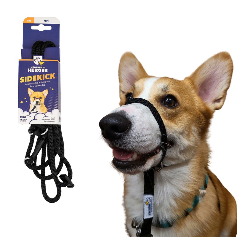 Heather's Heroes Sidekick Mini Black Dog Leash 1/4" x 6'