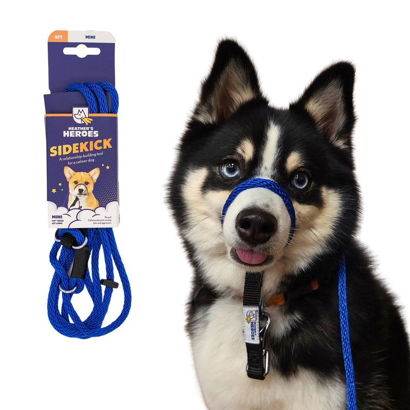 Heather's Heroes Sidekick Mini Blue Dog Leash 1/4" x 6'