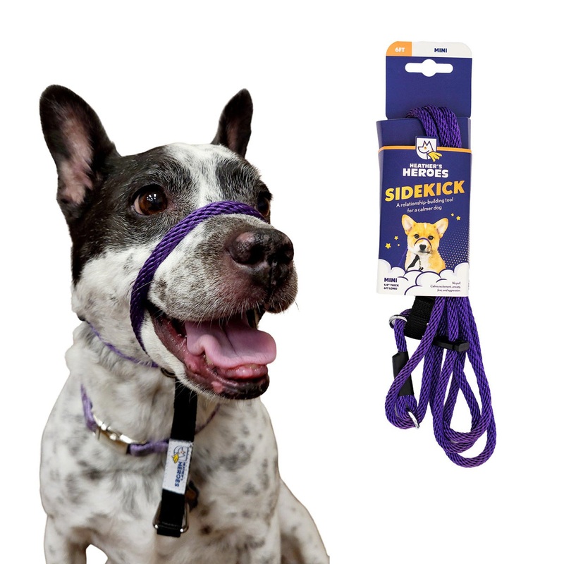 Heather's Heroes Sidekick Mini Purple Dog Leash 1/4" x 6'