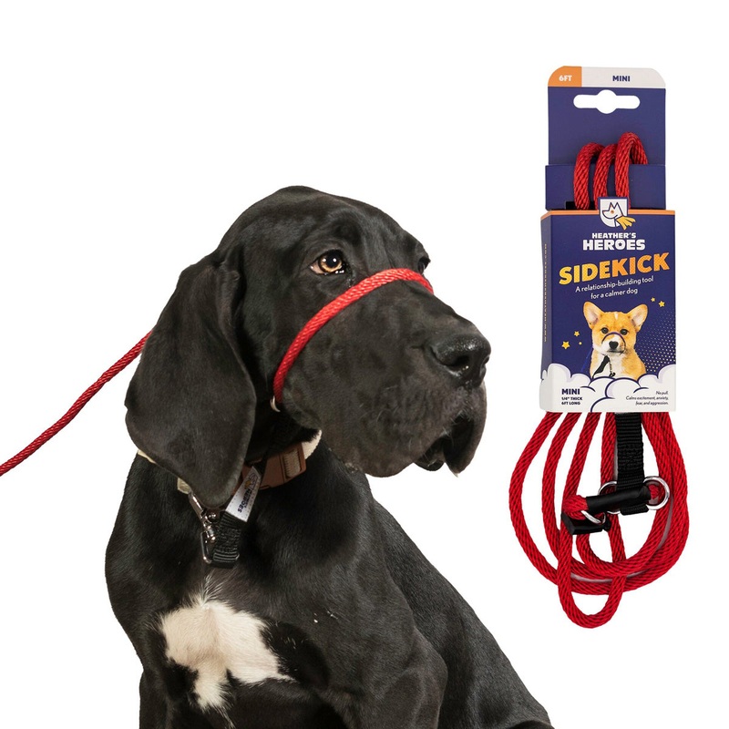 Heather's Heroes Sidekick Mini Red Dog Leash 1/4" x 6'