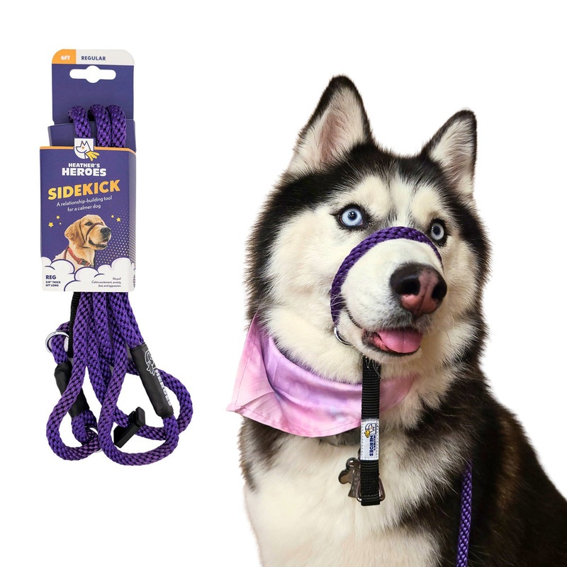 Heather's Heroes Sidekick Regular 3/8" x 6' Purple Dog Leash