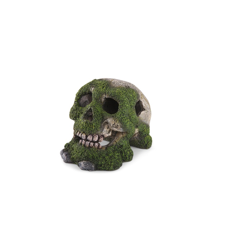 Kazoo Skull With Moss and Air