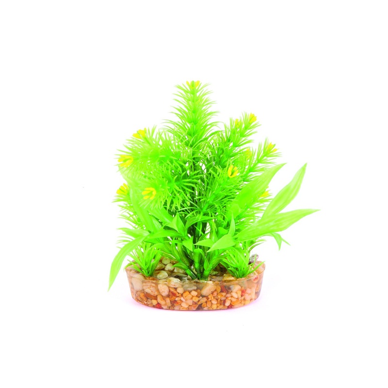 Kazoo Yellow Flower Combination Bush