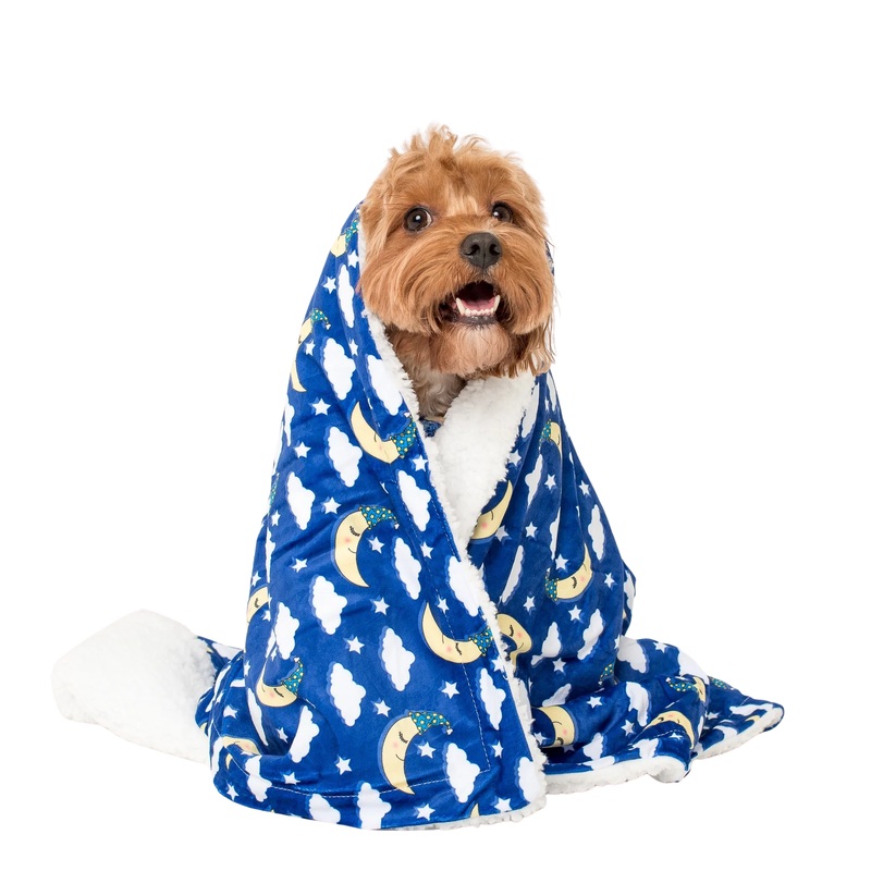 Pablo & Co Sweet Dreams Dog Blanket