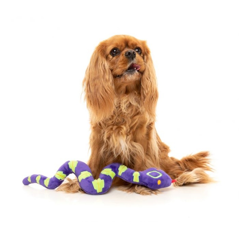 Dog Toy - William Snakespeare