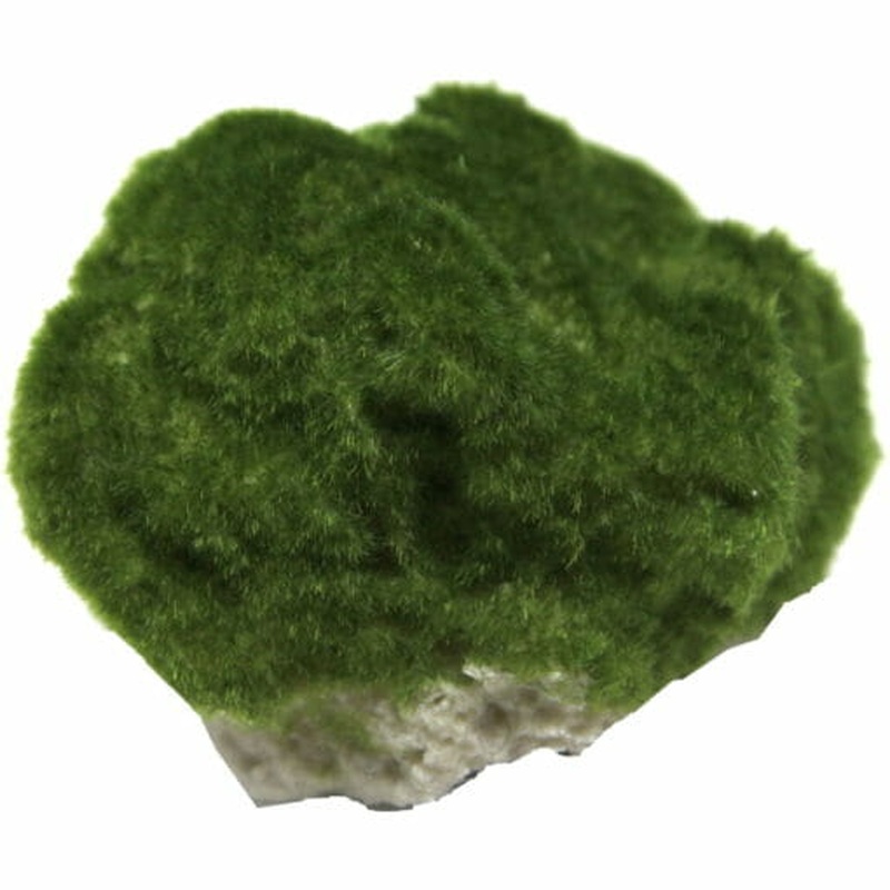 Aqua One Floating Lava Stone With Moss Ornament