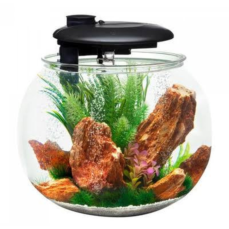Aqua Sphere 360 Circular Aquarium