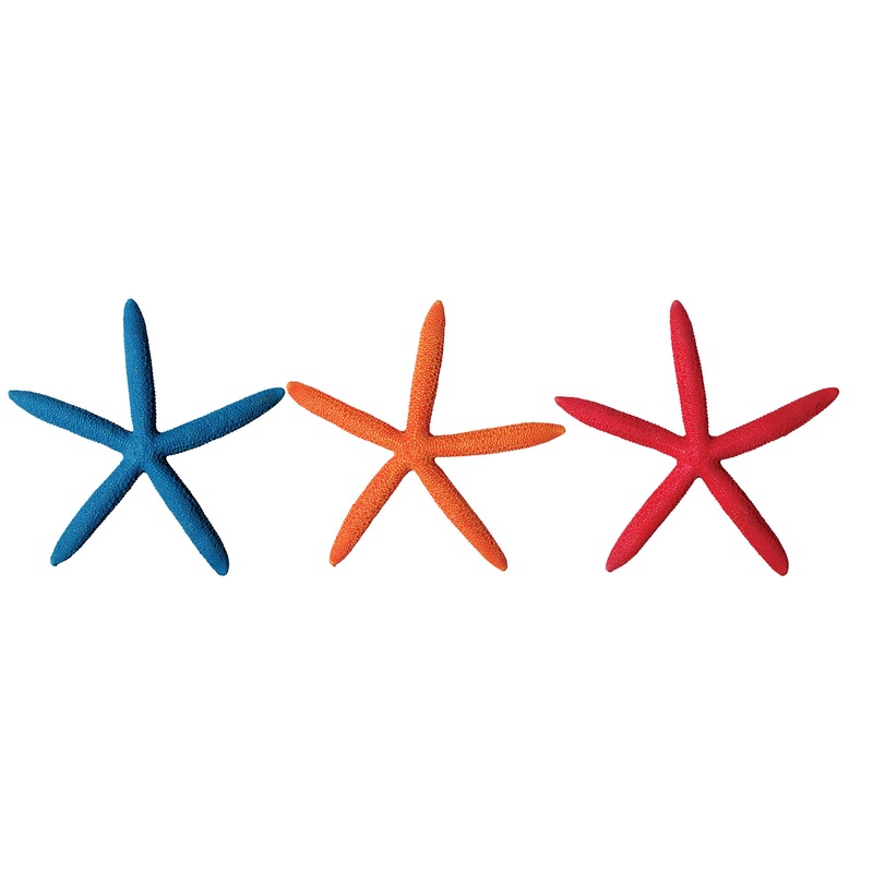 Hermit Crab Starfish