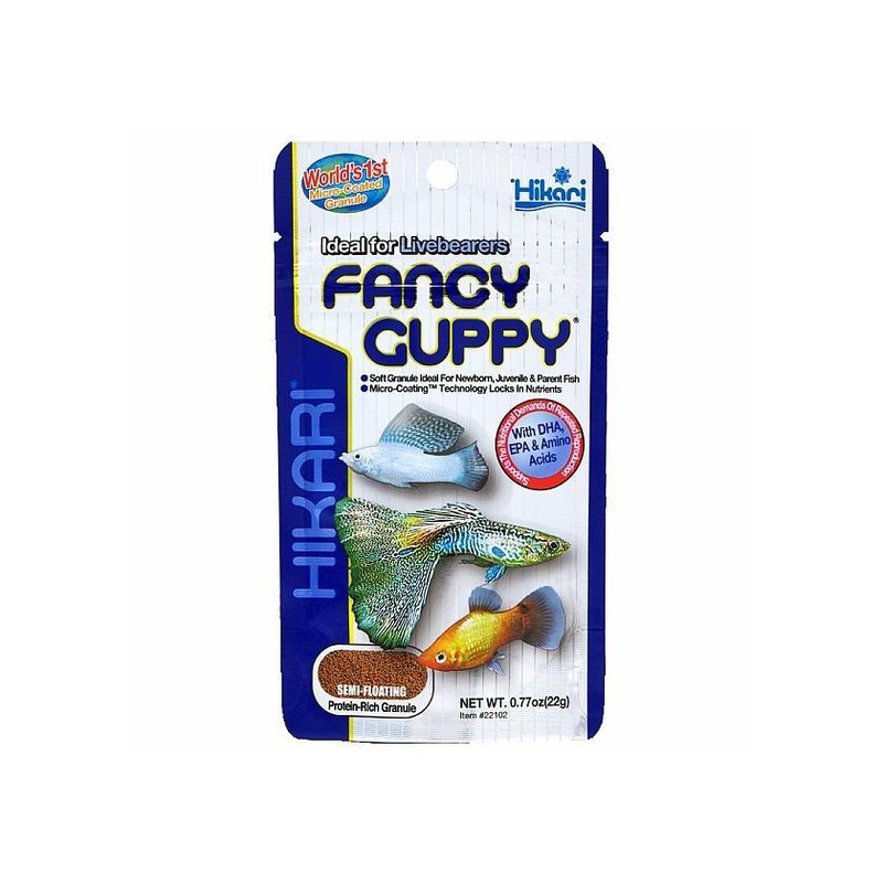 Hikari Fancy Guppy